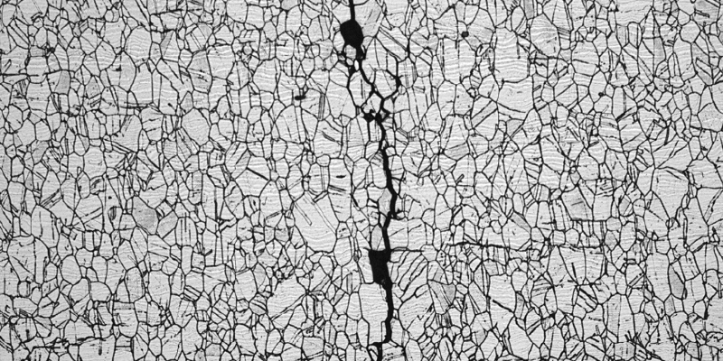 Future Challenges In Assessing Environmentally Assisted Cracking  FESI