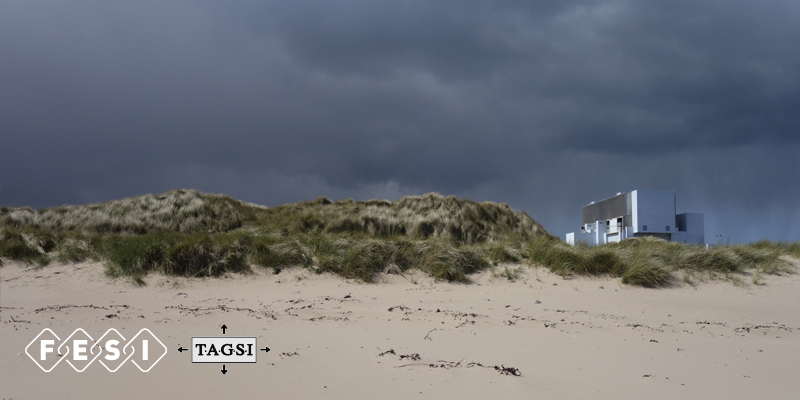 TAGSI–FESI Symposium 2026  FESI